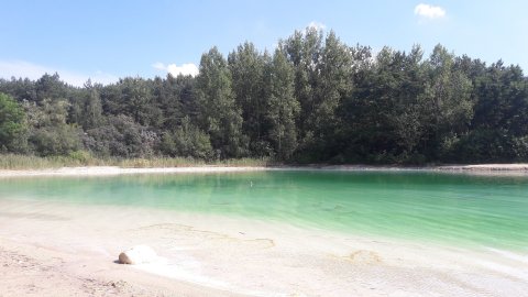 Settler Grove - Azure Lake