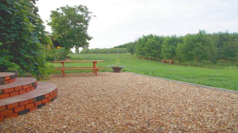 Winnica Knapów — zdjęcie 3