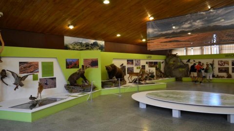 Muzeum Tatrzańskiego Parku Narodowego — zdjęcie 4