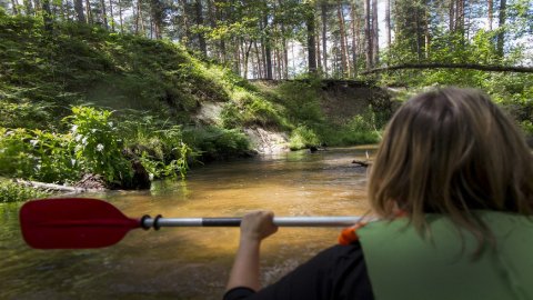 Spływy kajakowe na Tanwi — zdjęcie 2