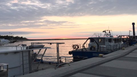 Plaża w Mrzeżynie — zdjęcie 3