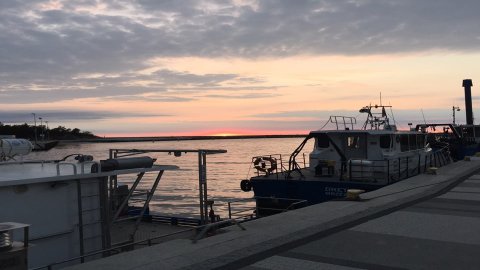 Plaża w Mrzeżynie — zdjęcie 9