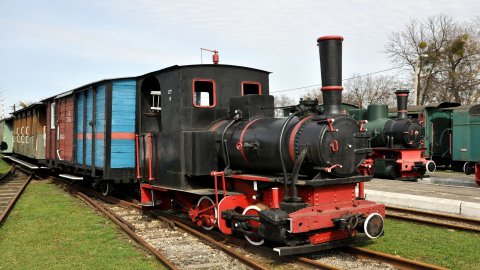 Stacja Muzeum - Muzeum Kolei Wąskotorowej — zdjęcie 2