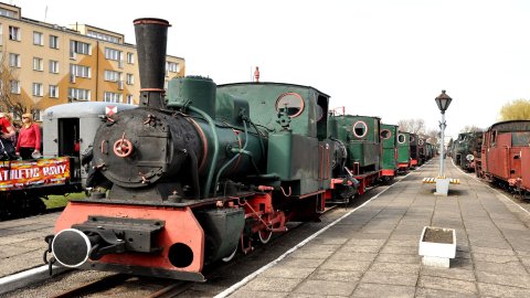 Stacja Muzeum - Muzeum Kolei Wąskotorowej — zdjęcie 3