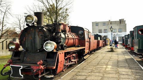 Stacja Muzeum - Muzeum Kolei Wąskotorowej — zdjęcie 4