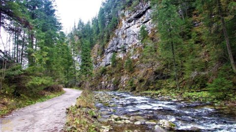 Dolina Kościeliska — zdjęcie 4