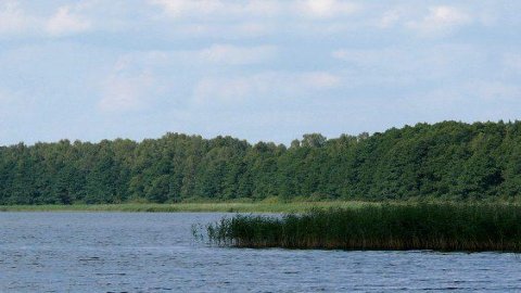 Brajniki