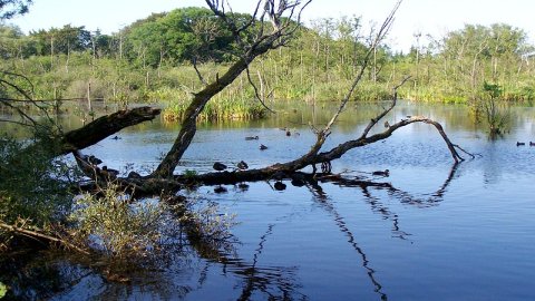 Ekopark Wschód — zdjęcie 2