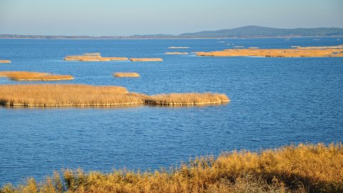 Jezioro Gardno w Słowińskim Parku Narodowym