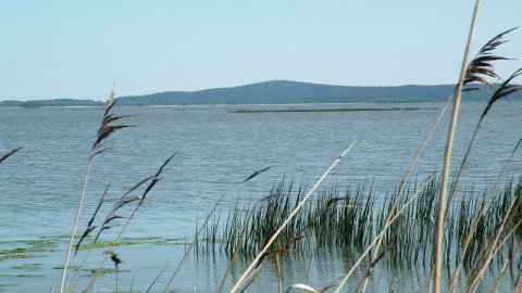 Miejscowość - Gardna Wlk — zdjęcie 2