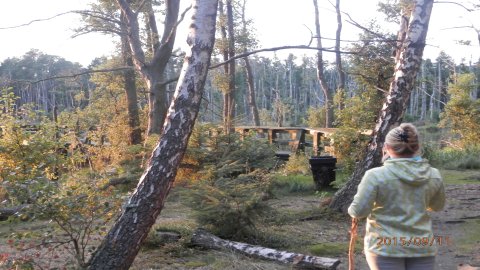 Słowiński Park Narodowy - Szlak z Czołpina na jeziora Dołgie 