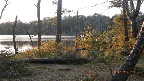Słowiński Park Narodowy - Szlak z Czołpina na jeziora Dołgie  — zdjęcie 2