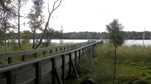 Słowiński Park Narodowy - Szlak z Czołpina na jeziora Dołgie  — zdjęcie 3