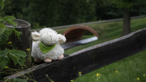 Tor saneczkowy na Rudzkiej Górze