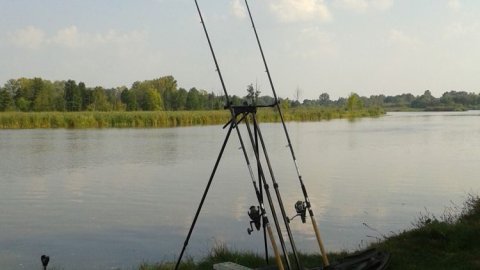 Rzeka Dziwna — zdjęcie 2