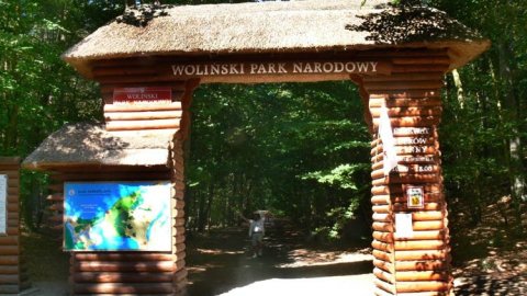 Woliński Park Narodowy — zdjęcie 4