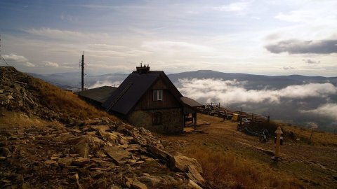 Shelter Chatka Puchatka