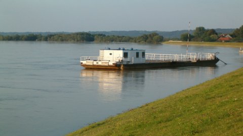 Rejsy po wiśle