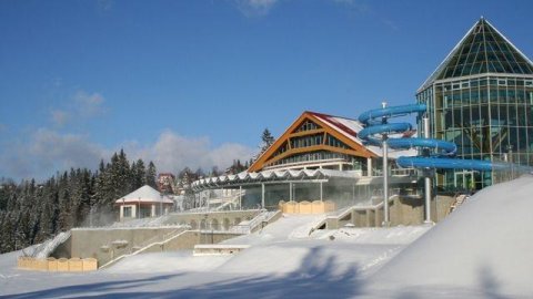 Termy bukowiańskie