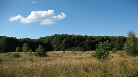 Kampinoski Park Narodowy — zdjęcie 2