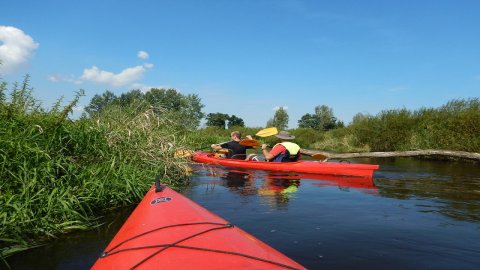 Rezerwat Przytoń