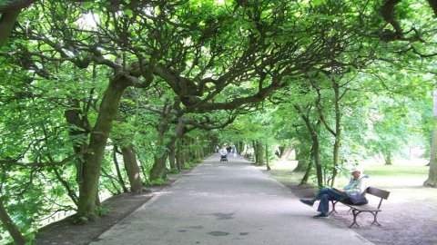 Park Oliwski