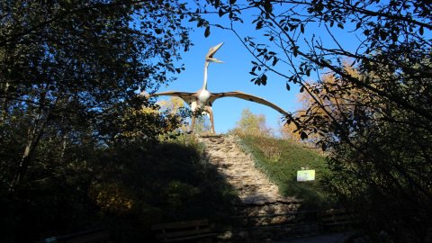 Łeba Park — zdjęcie 7