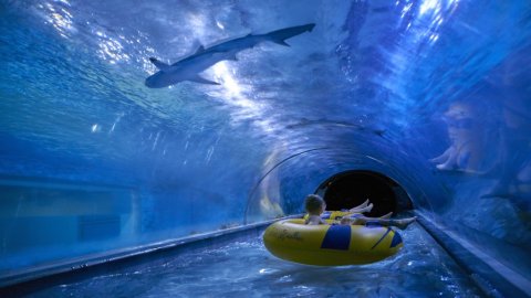 Aquapark Reda — zdjęcie 8