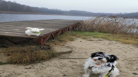 Jezioro Trzebciny — zdjęcie 2