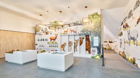Centrum Przyrodniczo-Edukacyjne Brama w Gorce — zdjęcie 2
