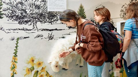 Centrum Przyrodniczo-Edukacyjne Brama w Gorce — zdjęcie 7