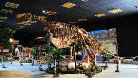  DinoZatorland
