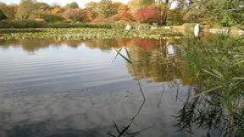Botanical Garden
