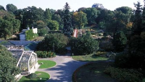 Botanical Garden