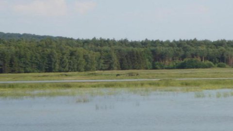 Roztoczański Park Narodowy