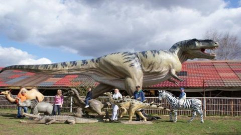 Park Rozrywki Pepeland