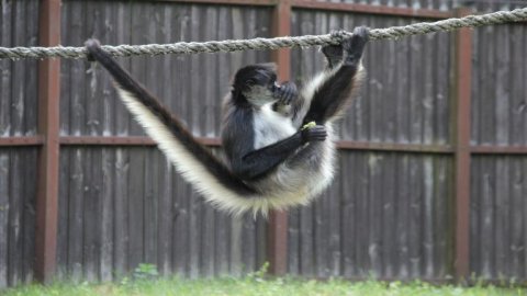 ZOO Poznań
