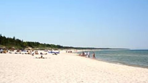 Plaża w Grzybowie