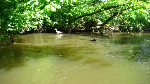 Canoeing on the River Rawka