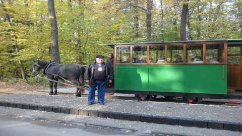 Tramwaj konny na trasie Mrozy - Rudka  — zdjęcie 3