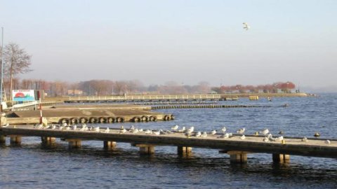 Molo
