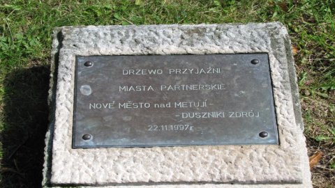 Drzewka przyjaźni