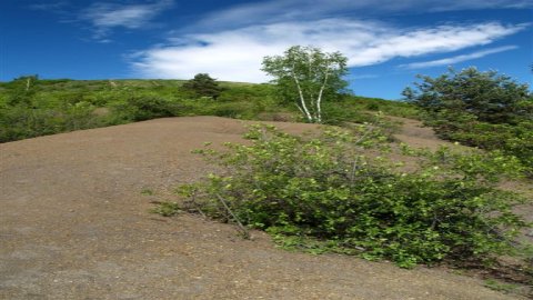 Pepper Mountain Reserve