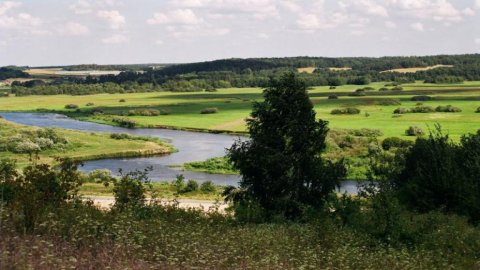 Dolina Narwi