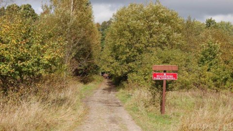 Białowieski Park Narodowy