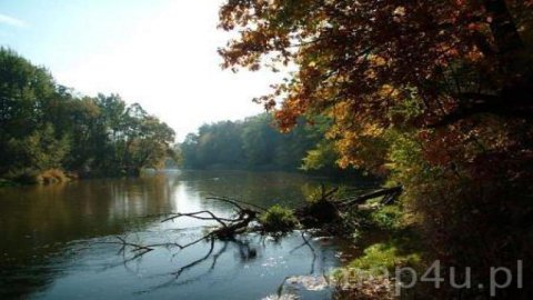 Park Krajobrazowy Międzyrzecza Warty