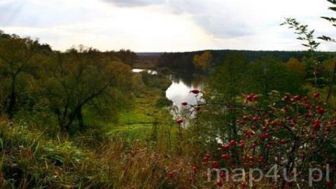 Park Krajobrazowy Międzyrzecza Warty — zdjęcie 5