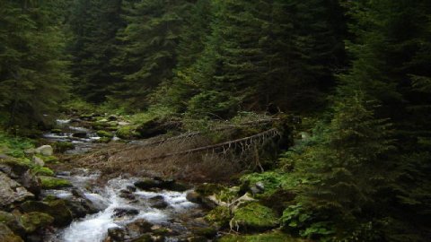 Dolina Kościeliska