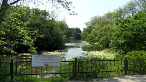 Park Dąbrowskiego