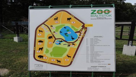 Akcent ZOO